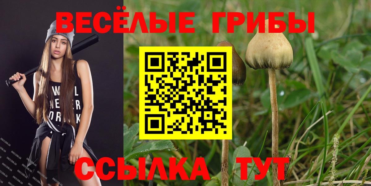 Рузаевка  что такое   Вход с VPN  Псилоцибиновые грибы Psilocybine cubensis 